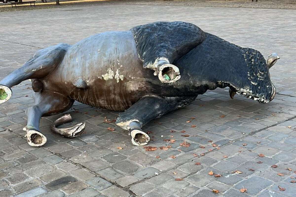 Bison auf dem Domplatz: Randalierer beschädigen Maskottchen