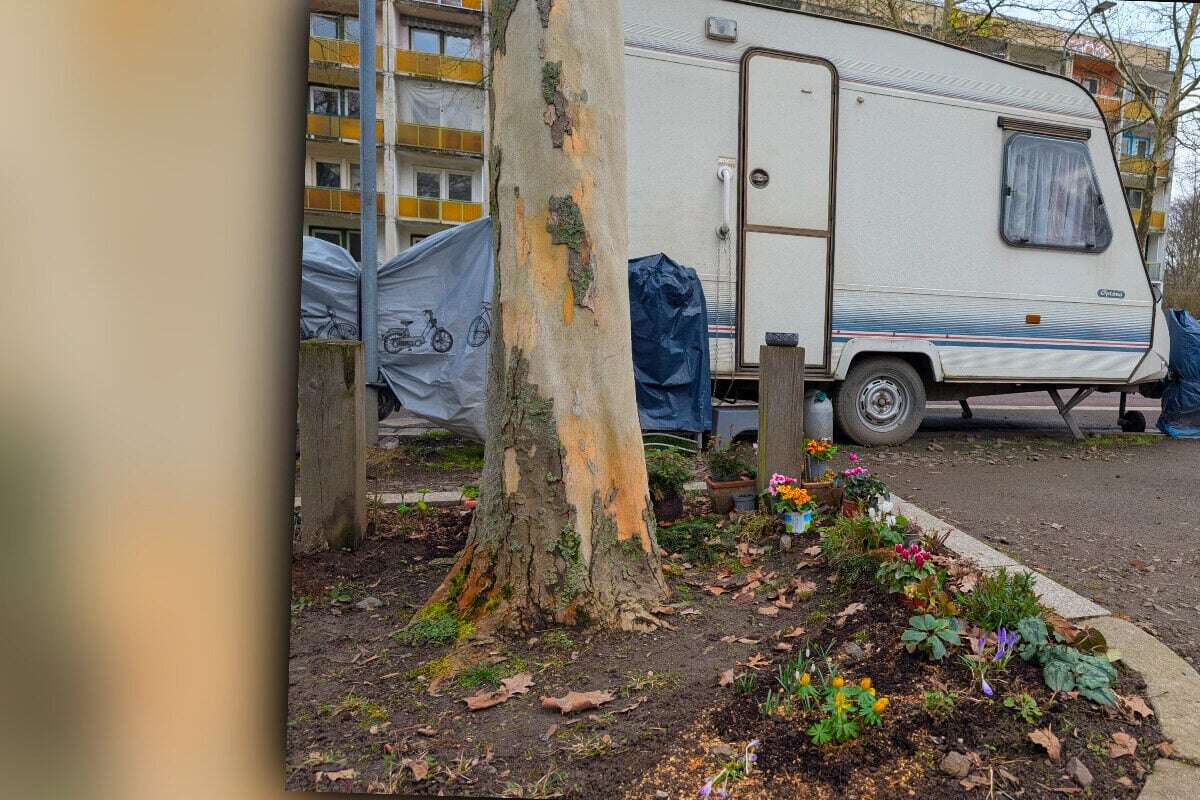 Dieses Foto zeigt ein Vergehen, das 5000 Euro kosten kann