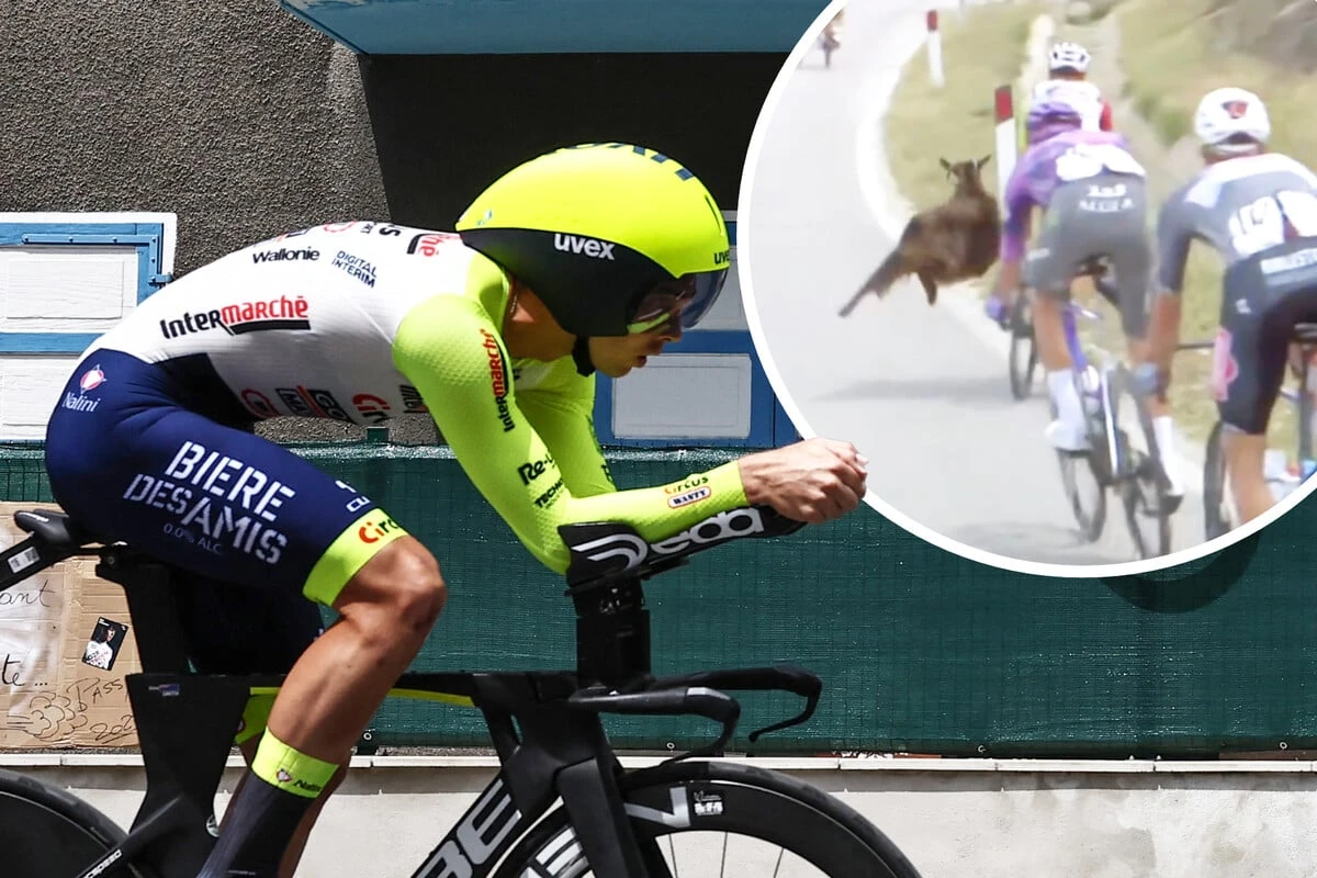 Schreckmoment beim Giro d'Italia: Rad-Profi fast von Ziege weggerammt