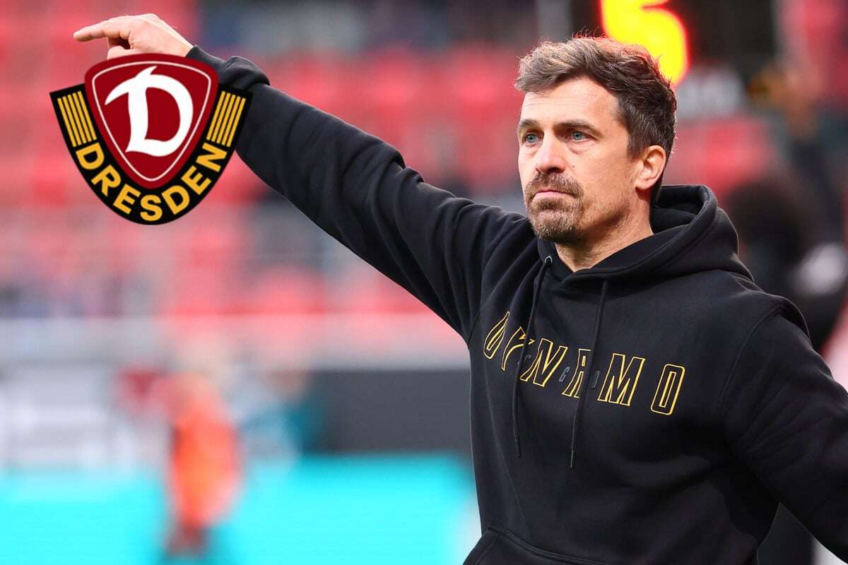 Dynamo-Coach Stamm kritisiert Kartenflut: 