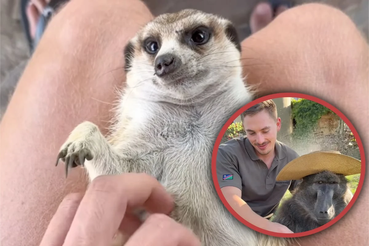 Das sind keine Haustiere! Junger Farmer kümmert sich um wilde Fellnasen