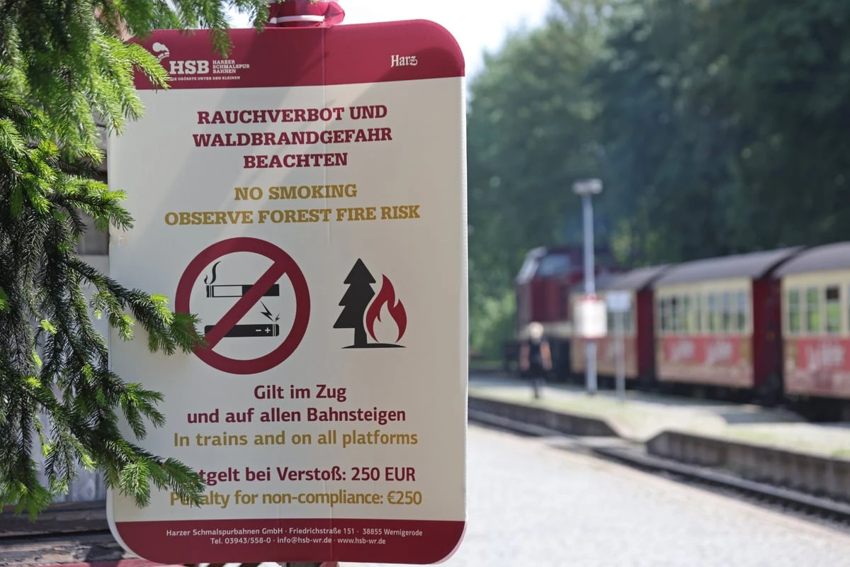 Hohes Waldbrandrisiko in weiten Teilen Sachsen-Anhalts