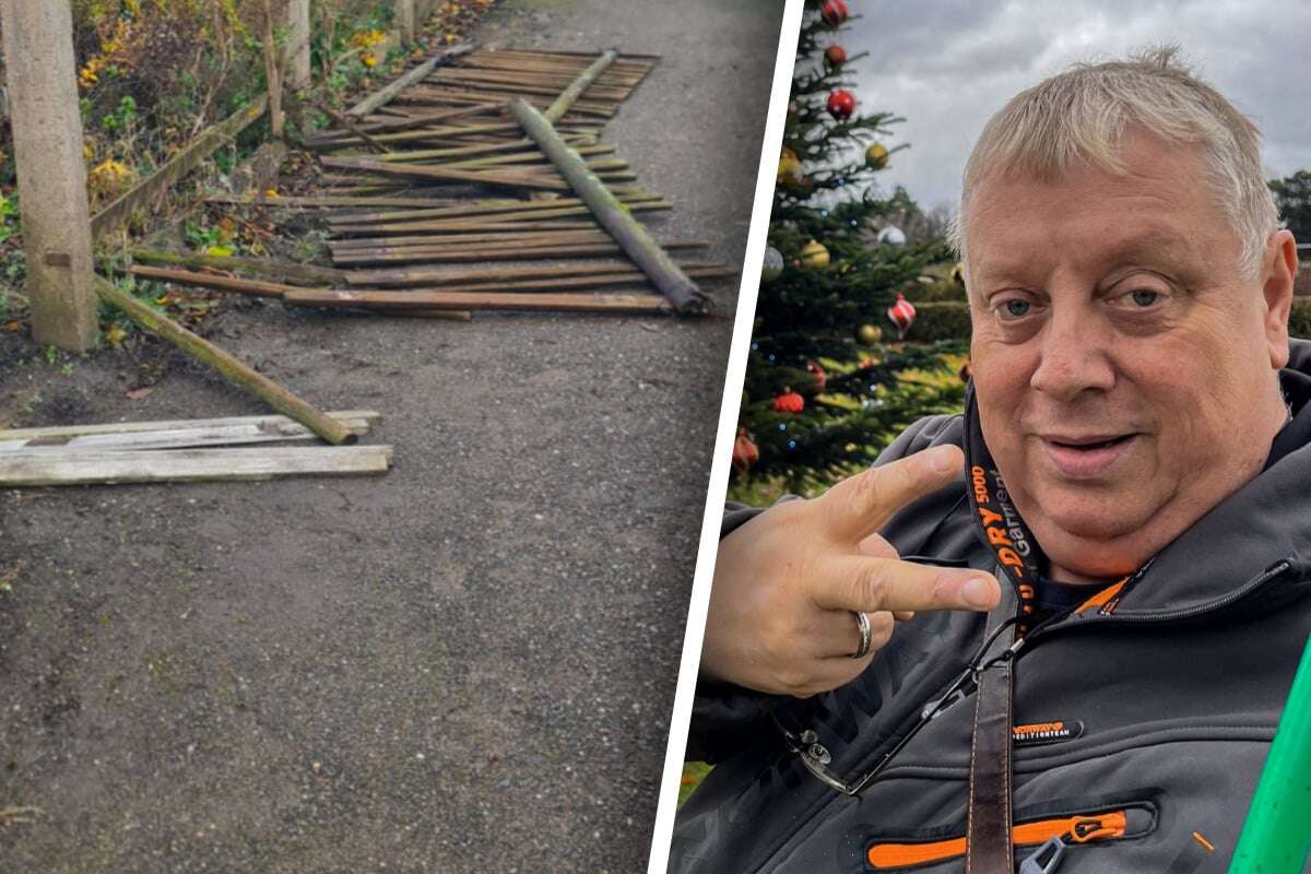 Sächsischer Gartensheriff fassungslos über Vandalen: 