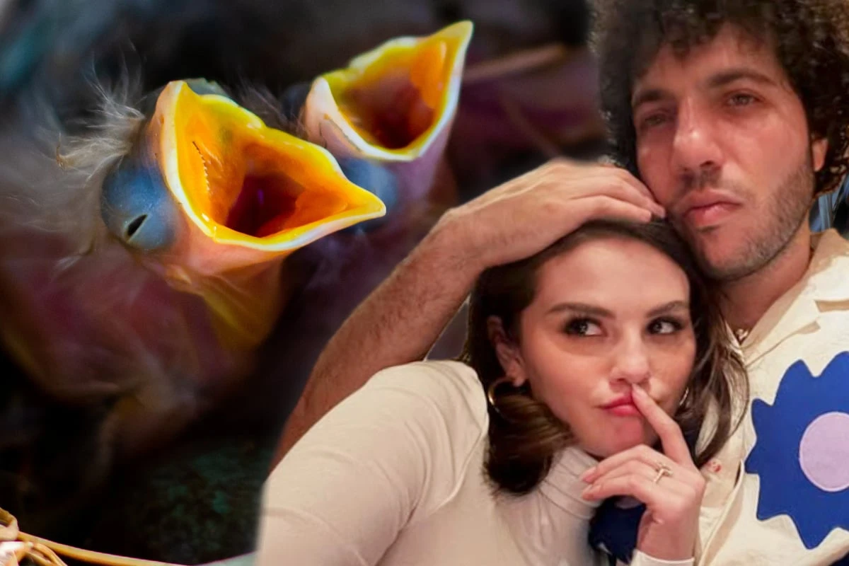 Zoff ums Zwitschern: So geriet Benny Blanco mit Selena Gomez aneinander
