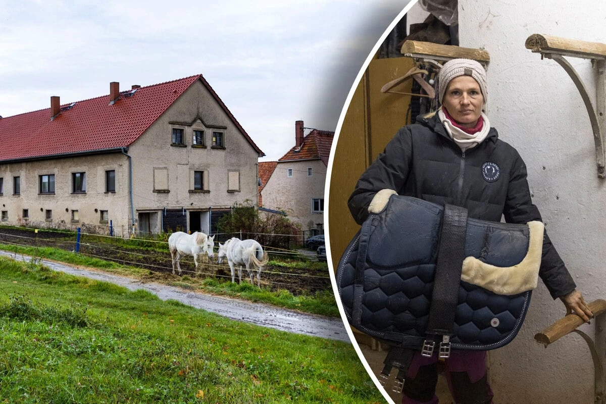 Sieben Sättel aus Reiterhof geklaut: 20.000 Euro Schaden