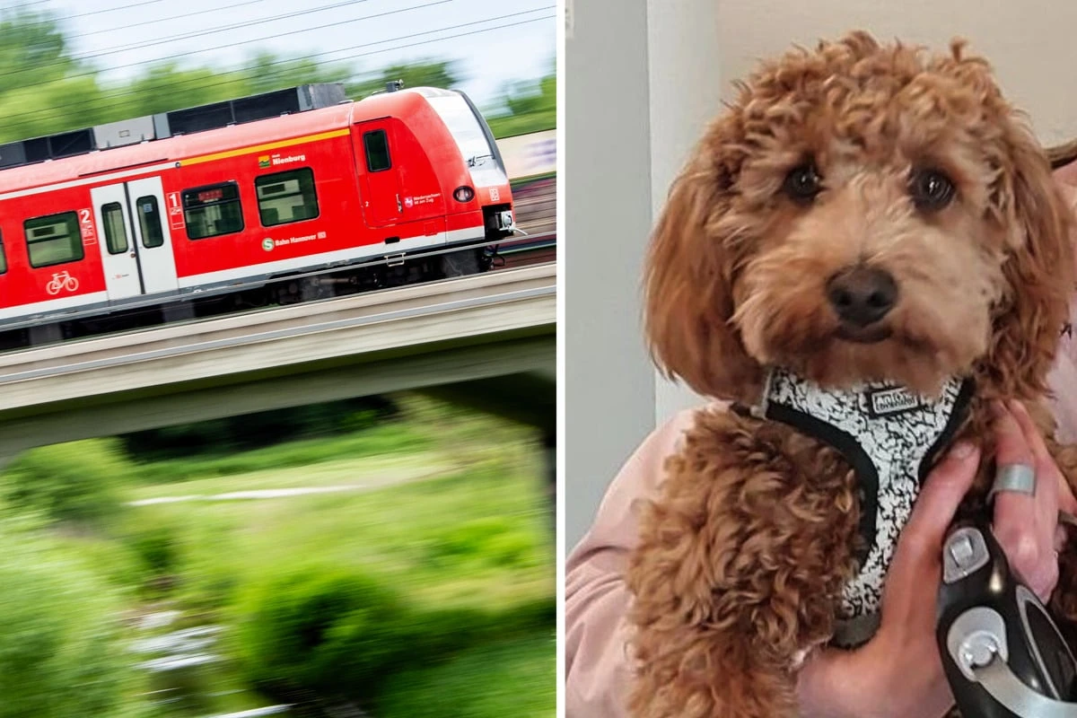 Kleiner Tofik steht einsam am Gleis, dann beginnt sein großes Bahn-Abenteuer