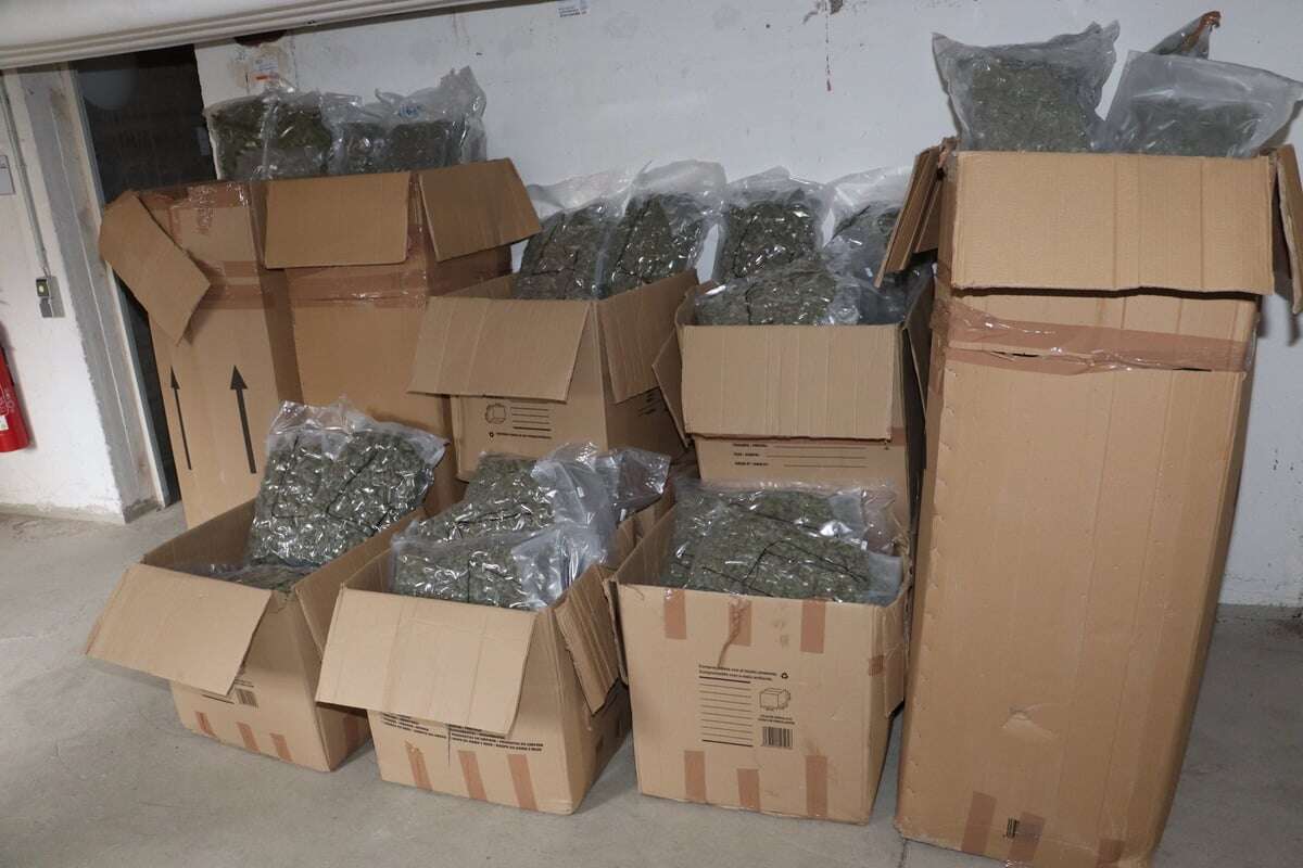 Millionen-Fund! Zoll erwischt Schmuggel-Laster mit Cannabis