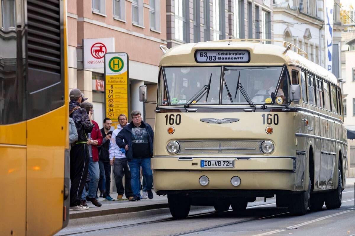 Großer Ansturm auf Oldtimer: Ikarus-Busse fahren wieder durch Dresden