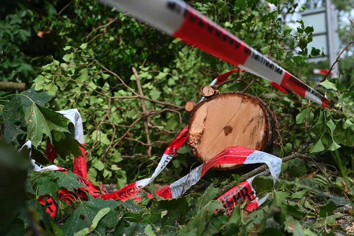 Nach Sturm-Chaos in Berlin: In diesen Wäldern herrscht Lebensgefahr