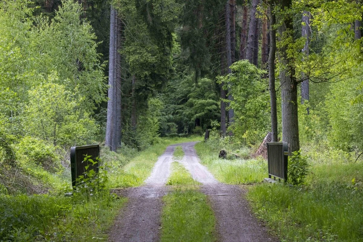 Dresdnerin (†21) tot im Wald gefunden: Polizei sucht Zeugen unter Partygängern