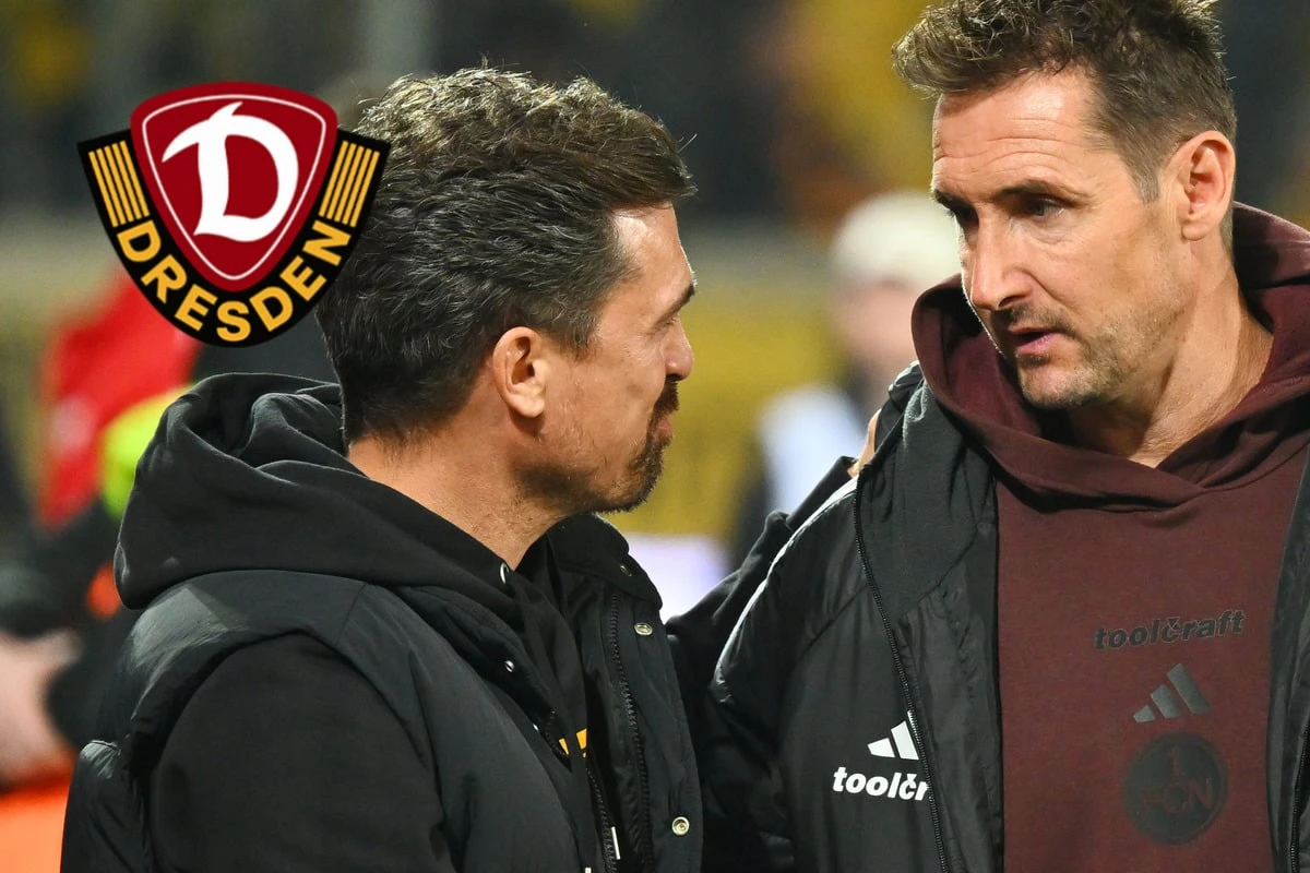 Dynamos Stamm klettert im Trainer-Ranking, nur zwei liegen noch vor ihm
