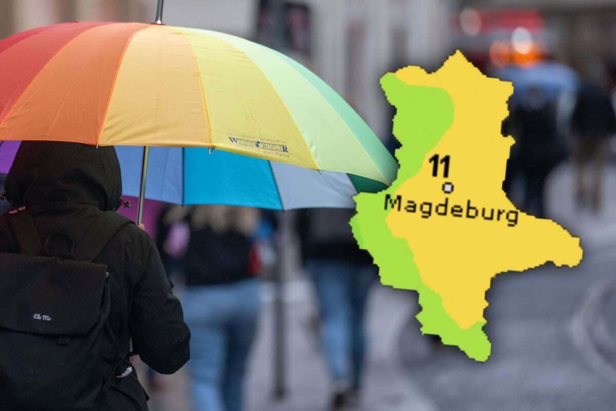 Winterwetter ade: Sachsen-Anhalt muss sich auf eine milde und stürmische Woche einstellen!