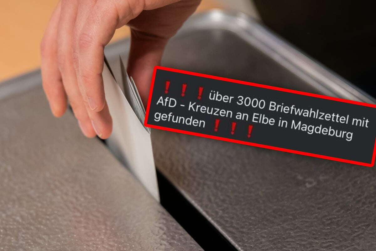 3000 AfD-Wahlzettel in der Elbe gefunden? Jetzt kommt die Wahrheit raus