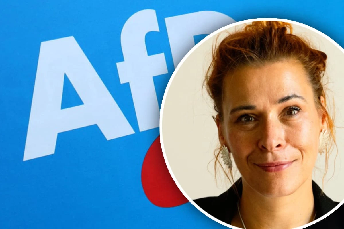 Linken-Vorstand für AfD-Verbot: 