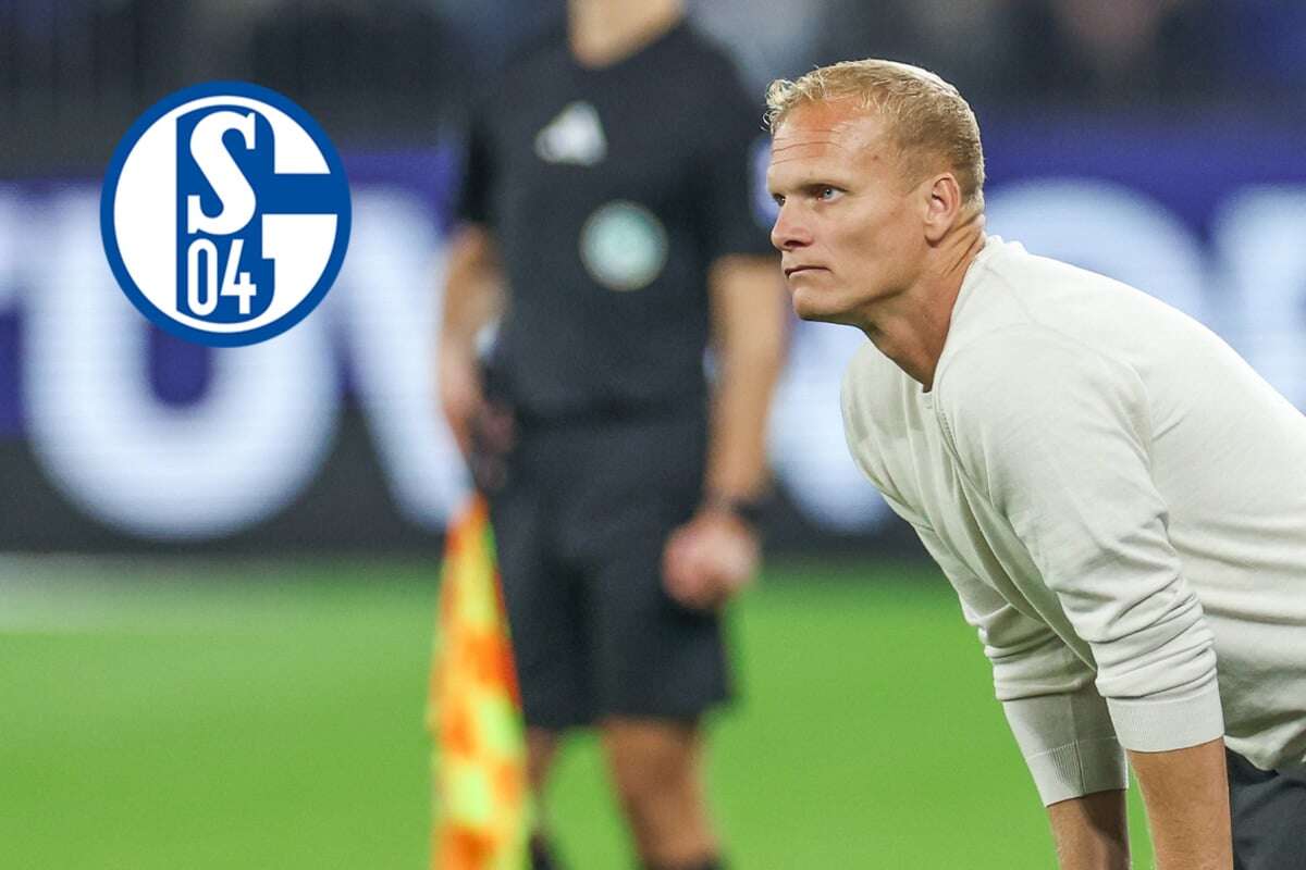 Auf Schalke wird es zappenduster: Nach Darmstadt-Debakel fliegt der Trainer!