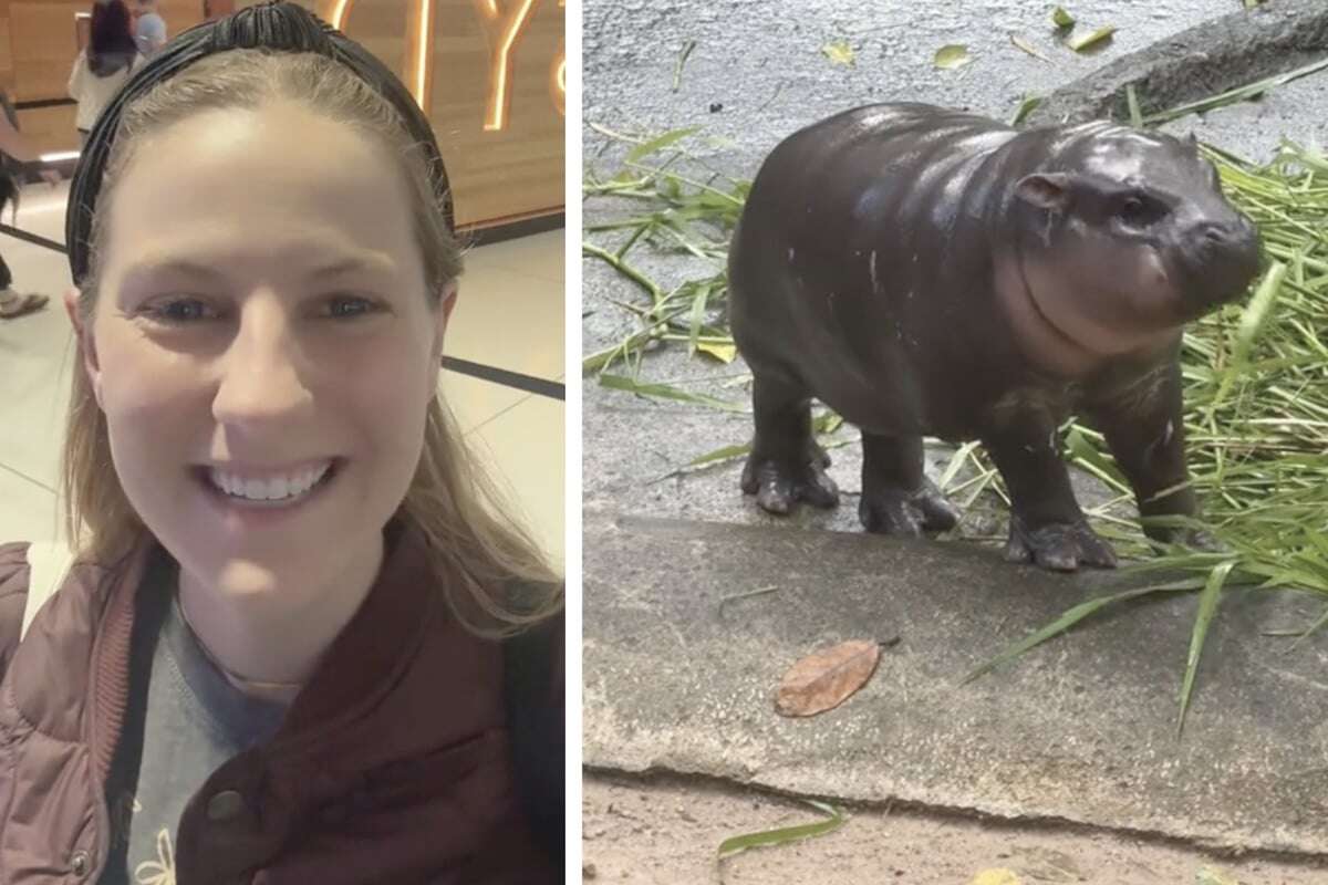 Tierliebe extrem! Frau fliegt um die halbe Welt für Zwergflusspferd-Baby