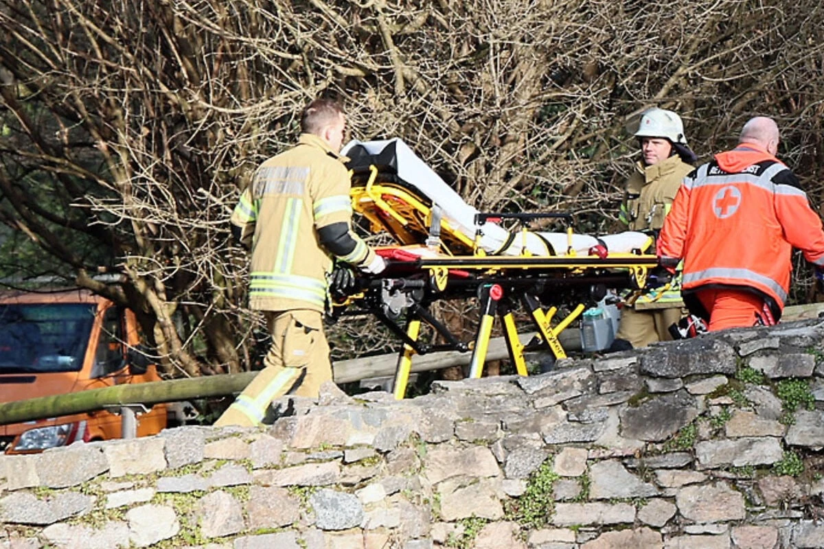 Blutbad in Stadtpark: Neue Erkenntnisse zum Messer-Mörder