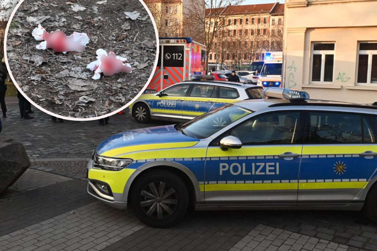 Einsatz an der Eisenbahnstraße! Mehrere Personen an Auseinandersetzung beteiligt