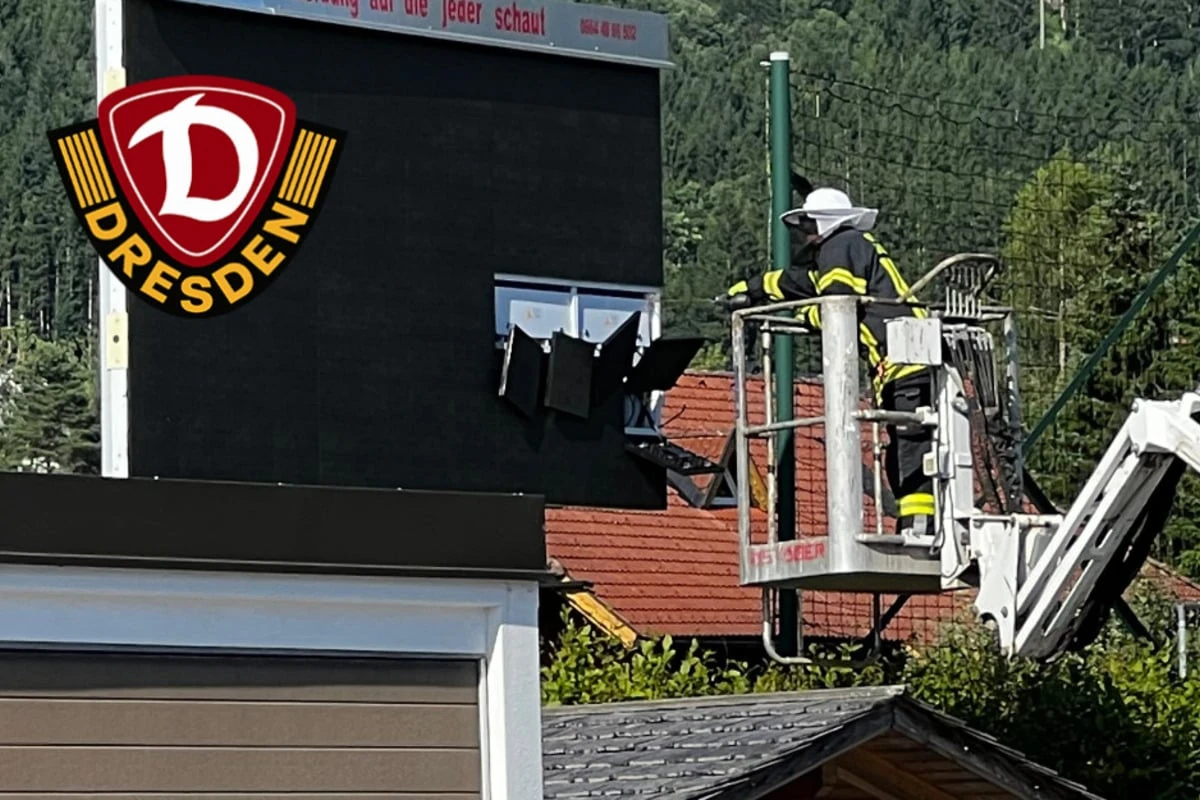 Dynamo im Trainingslager: Insekten sorgen für Feuerwehr-Einsatz