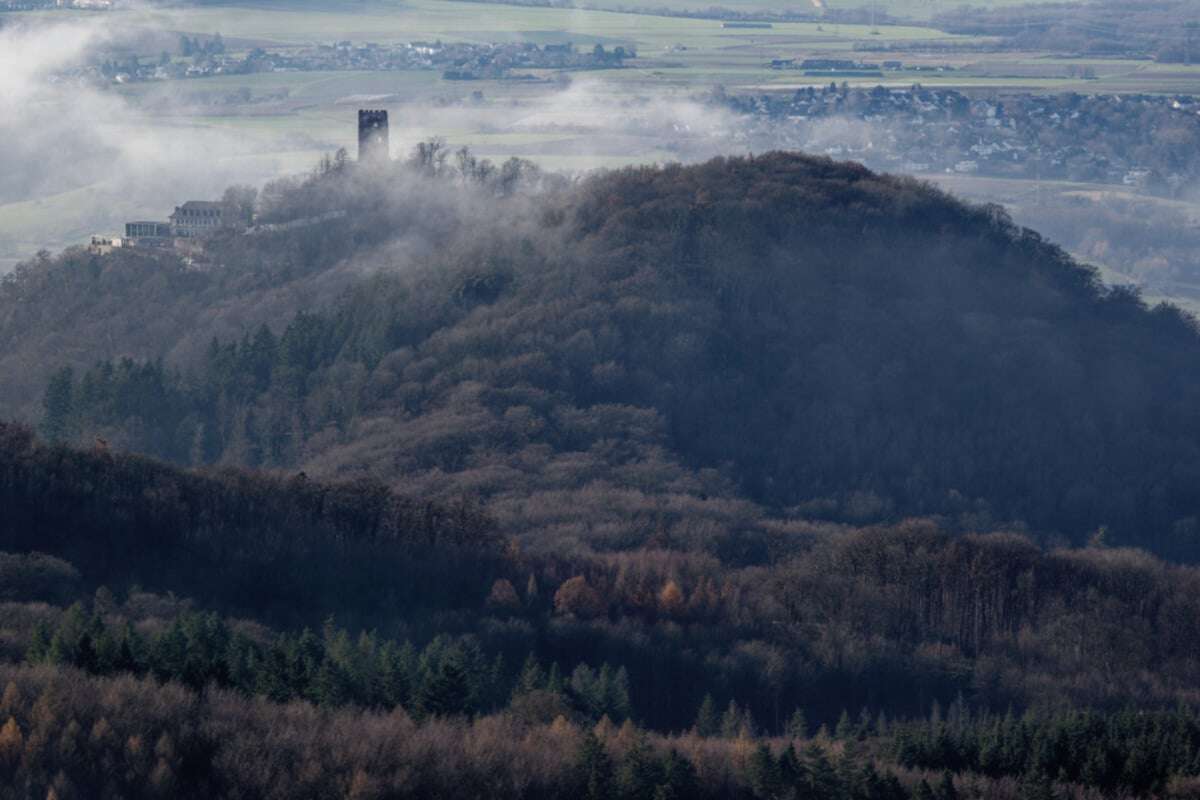 Grausiger Fund am Drachenfels: Mann macht beim Klettern schreckliche Entdeckung