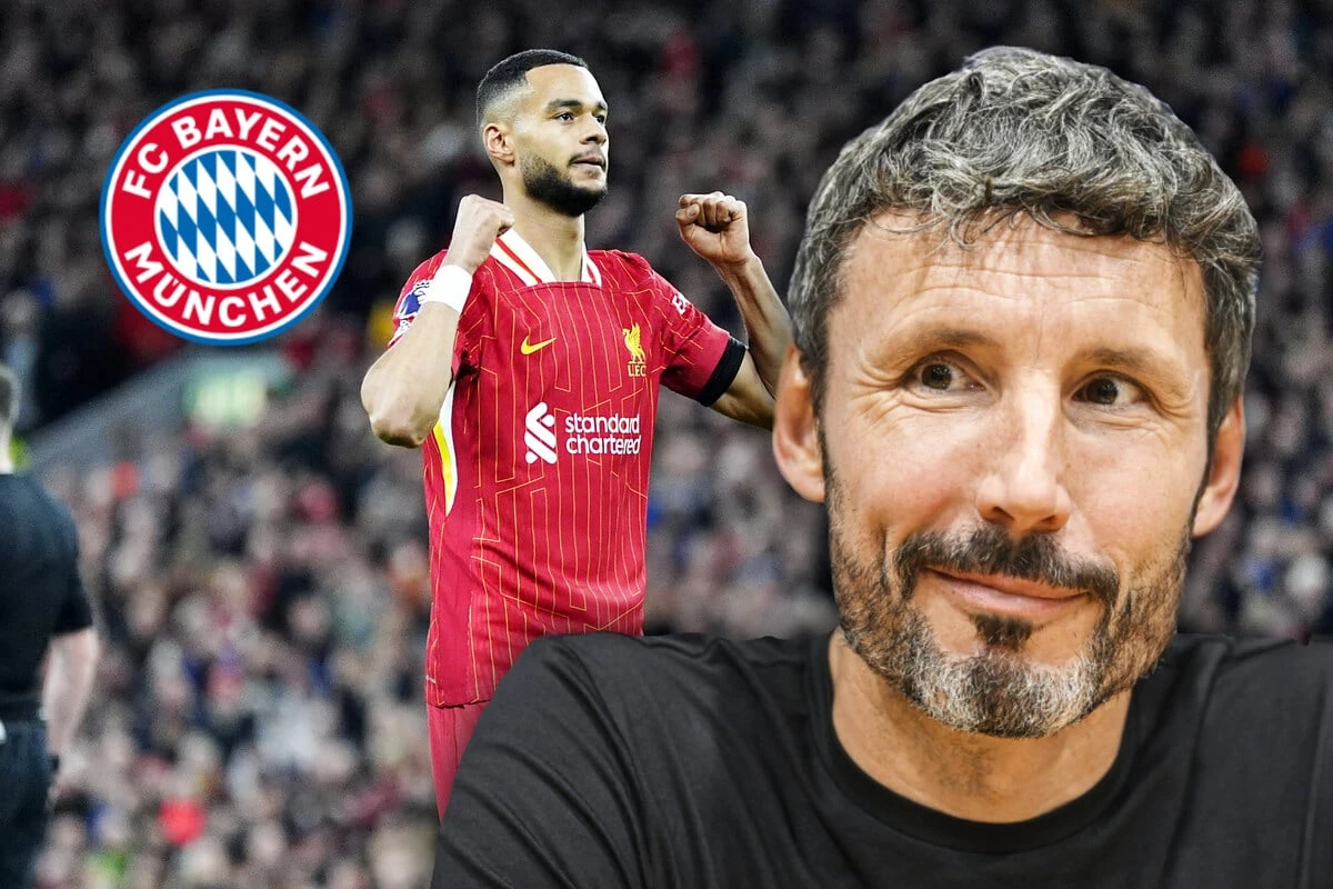 Gakpo zum FC Bayern? Van Bommel führt ganz speziellen Pluspunkt an