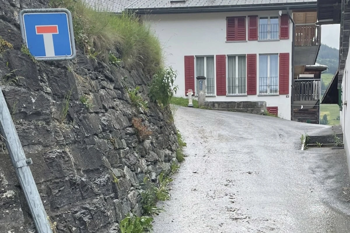 Sohn findet Mutter leblos auf Straße: Kuhherde trampelt Frau zu Tode
