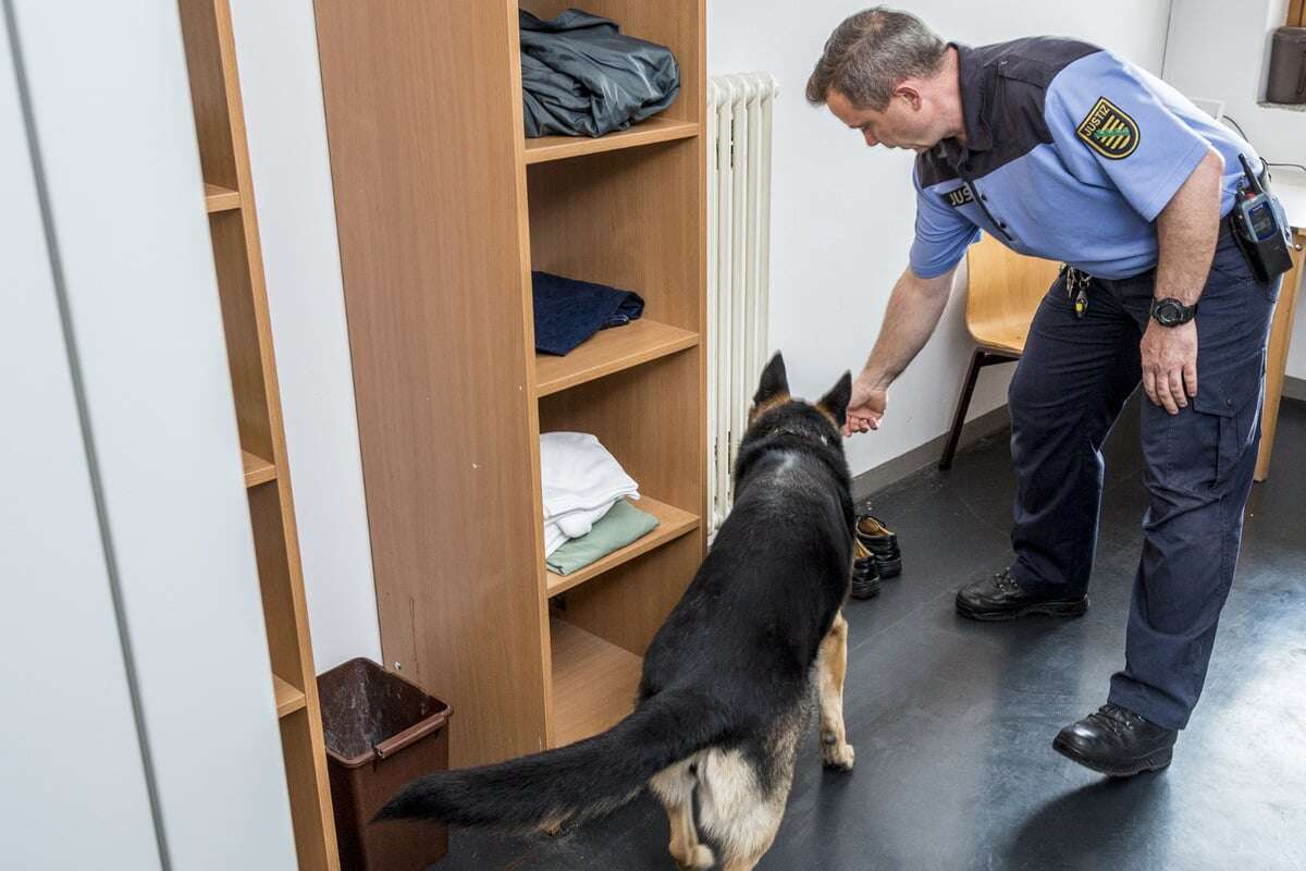 Immer mehr Drogen und Handys in Sachsens Gefängnissen