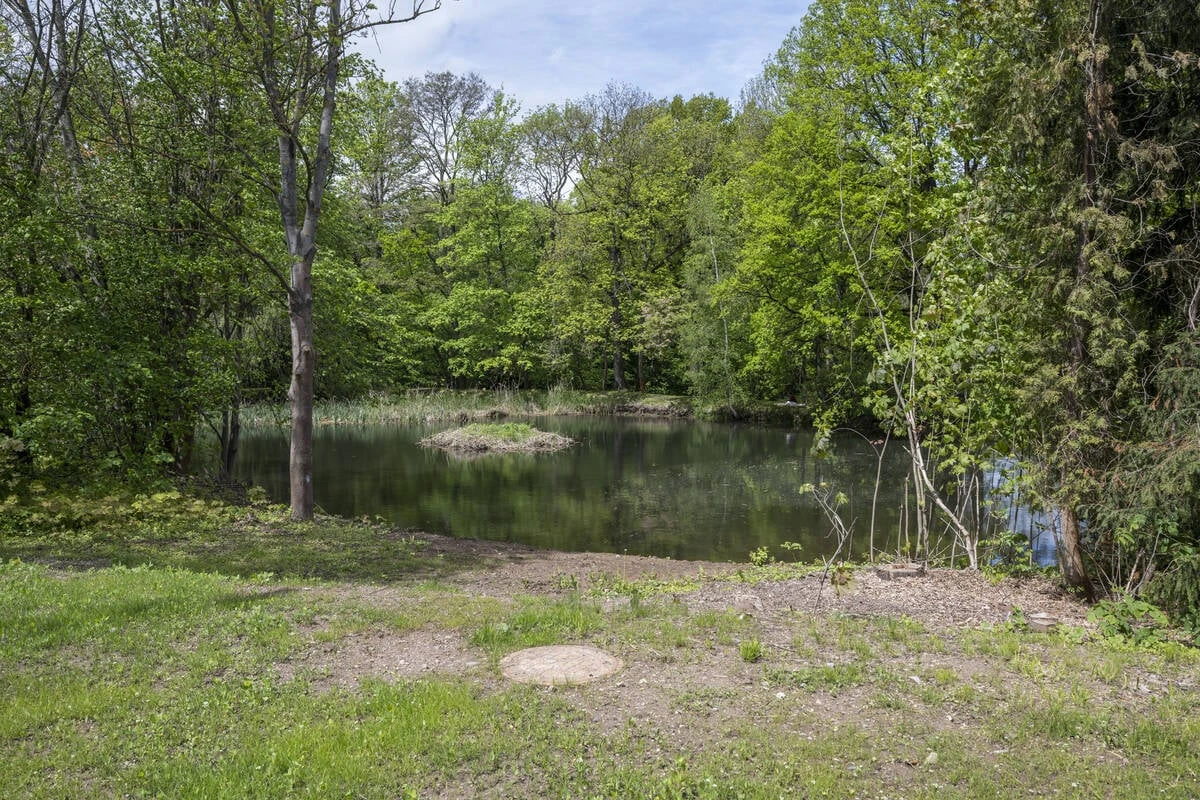 Chemnitzer Rittergutspark wird wachgeküsst