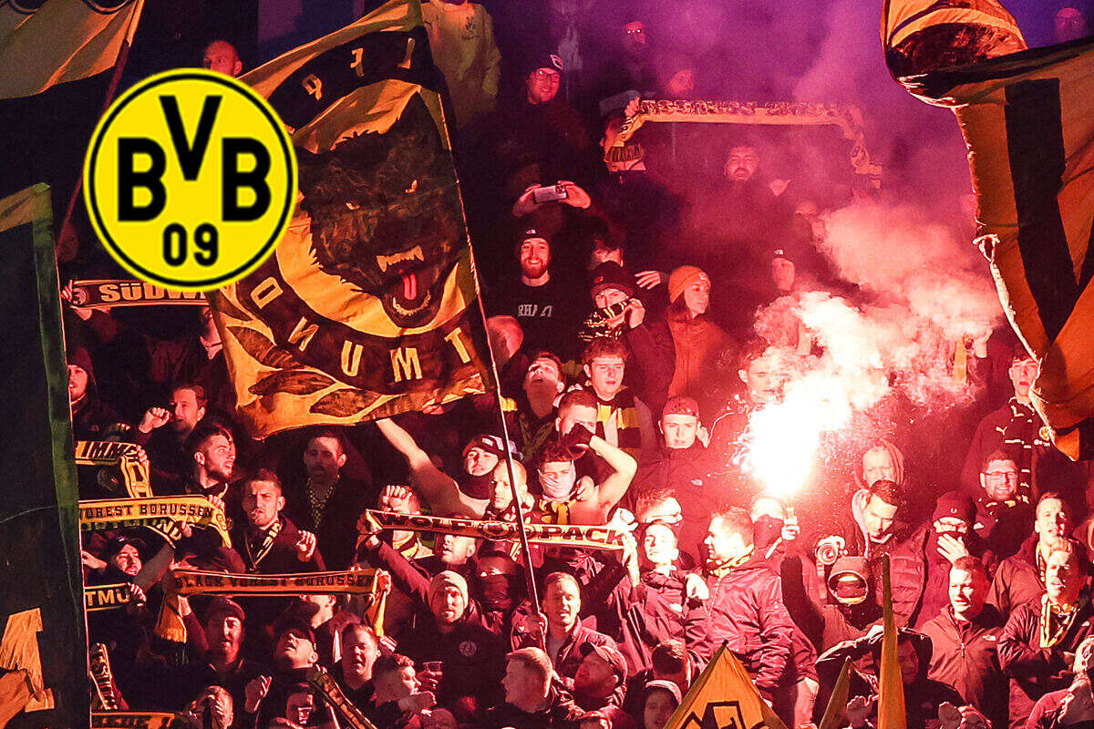 BVB-Fans in den Schritt gefasst? Jetzt schaltet sich die UEFA ein!