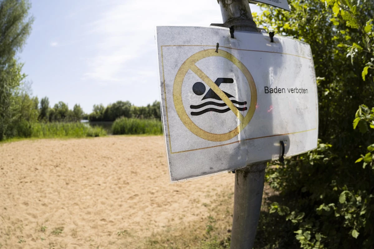 Badeverbot fruchtet: See bei Leipzig lockt dutzende neue Arten an