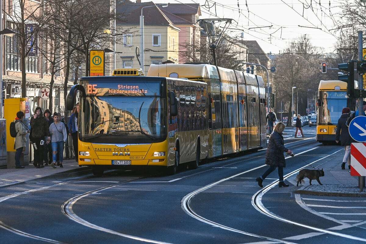 Bus muss wegen Fußgängerin scharf bremsen: Drei Frauen teils schwer verletzt