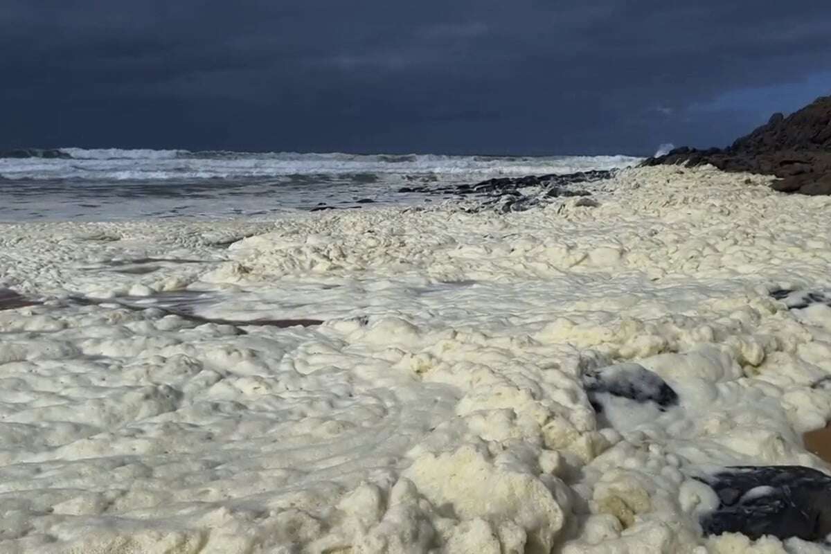 Mysteriöser Schaum am Strand macht Menschen krank und lässt Meeresbewohner sterben