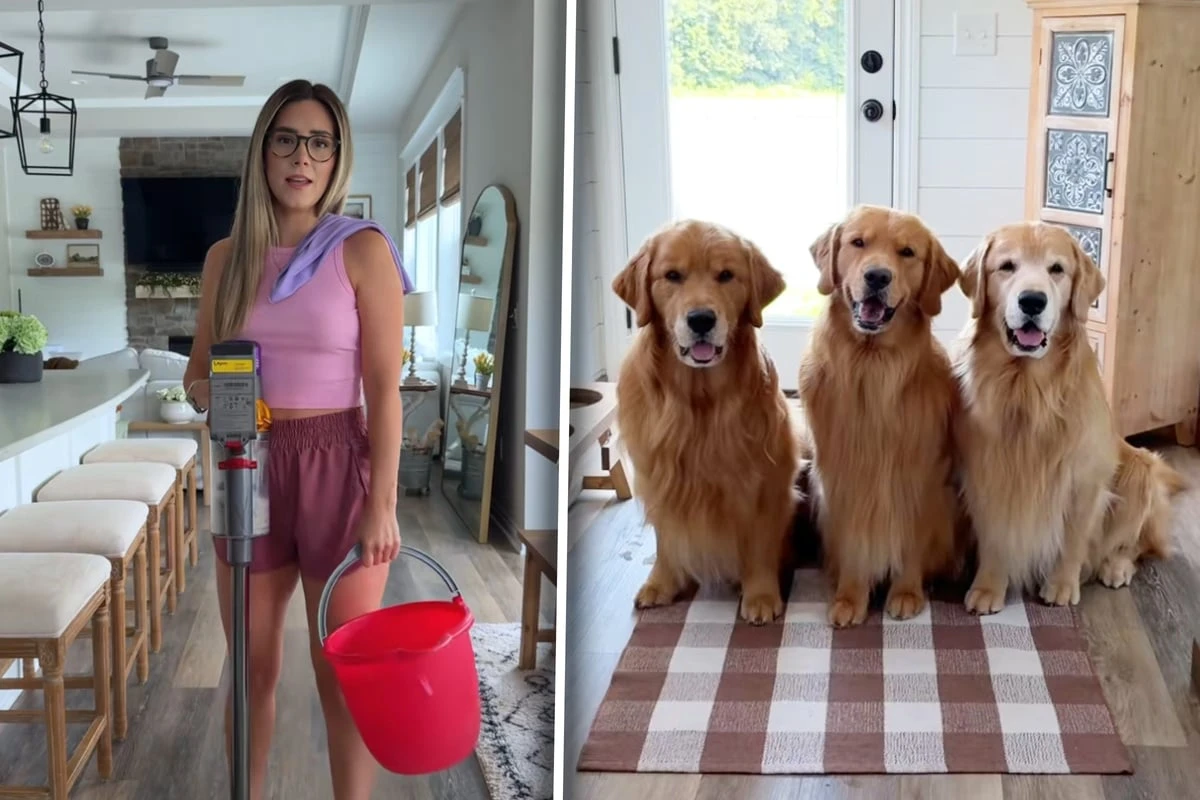 Golden Retriever dürfen nicht in den Pool: Was sie dann 