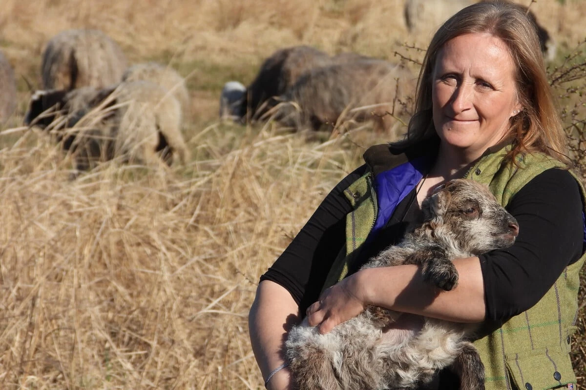 Boberger Dünen: Umweltbehörde streicht 70 Tiere, Schäferin widerspricht der Begründung