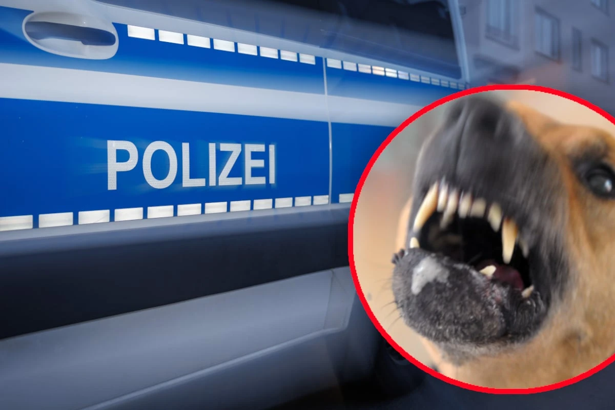 Drei Hunde beißen eigenes Herrchen: Polizei zückt Pfefferspray