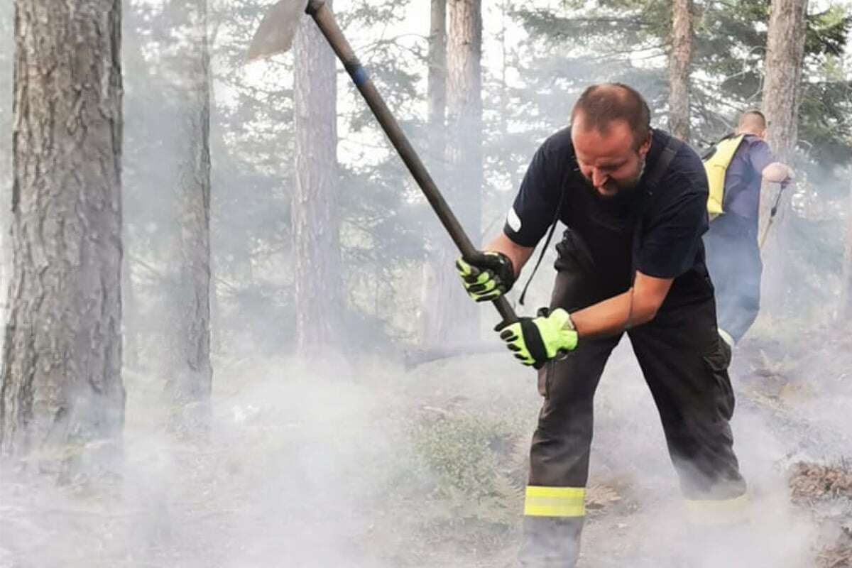 Im Nationalpark werden Rohre für den nächsten Waldbrand verlegt!