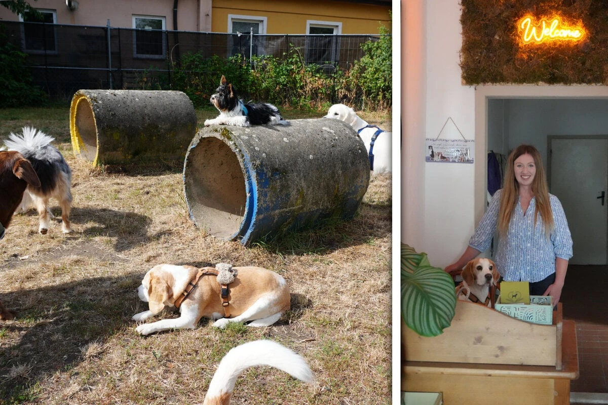 Abenteuer mit Wuff: Neue Hundeschule und Pension öffnet in Magdeburg