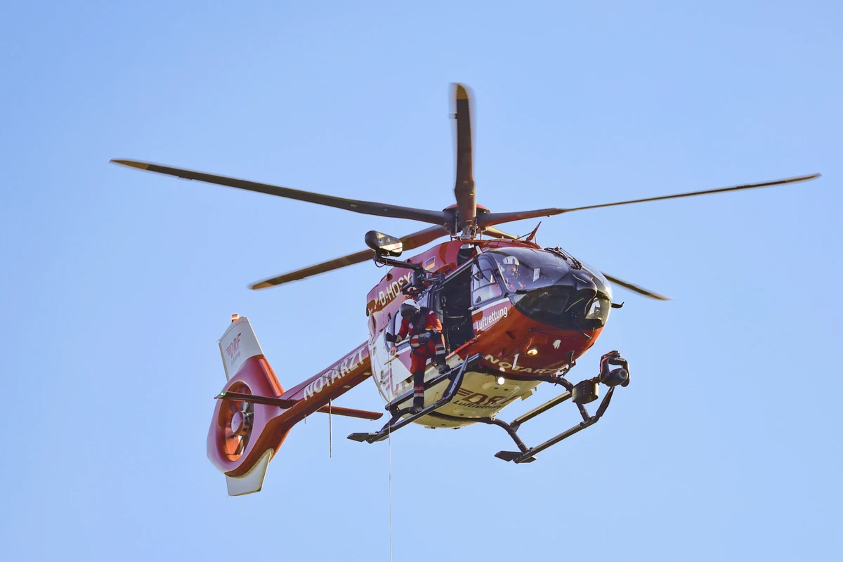 Tragischer Unfall im Wald: Arbeiter von Ästen erschlagen
