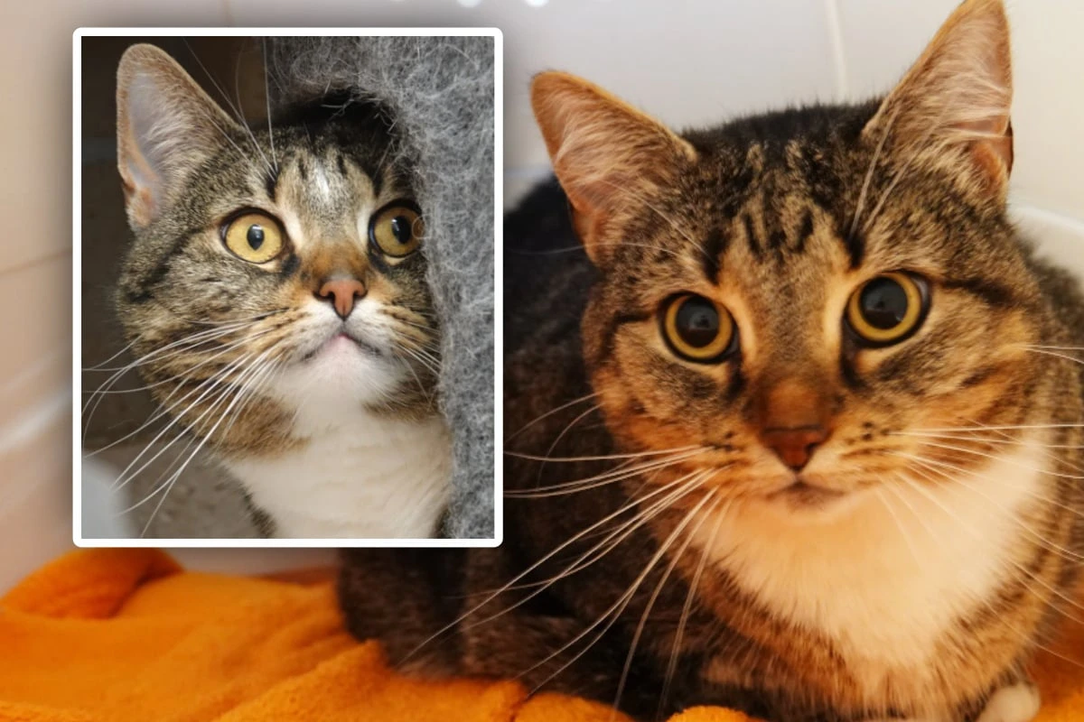 Sie haben alles verloren! Wer schenkt Fiona und Chayenne ein neues Leben?