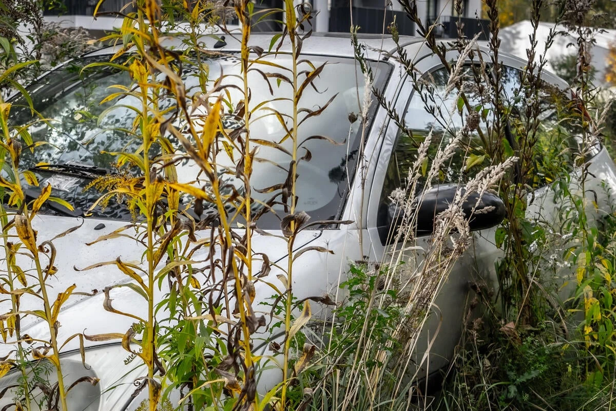 Mann klaut Fremdem nach Streit das Auto, baut Unfall und flüchtet: 20.000 Euro Schaden!
