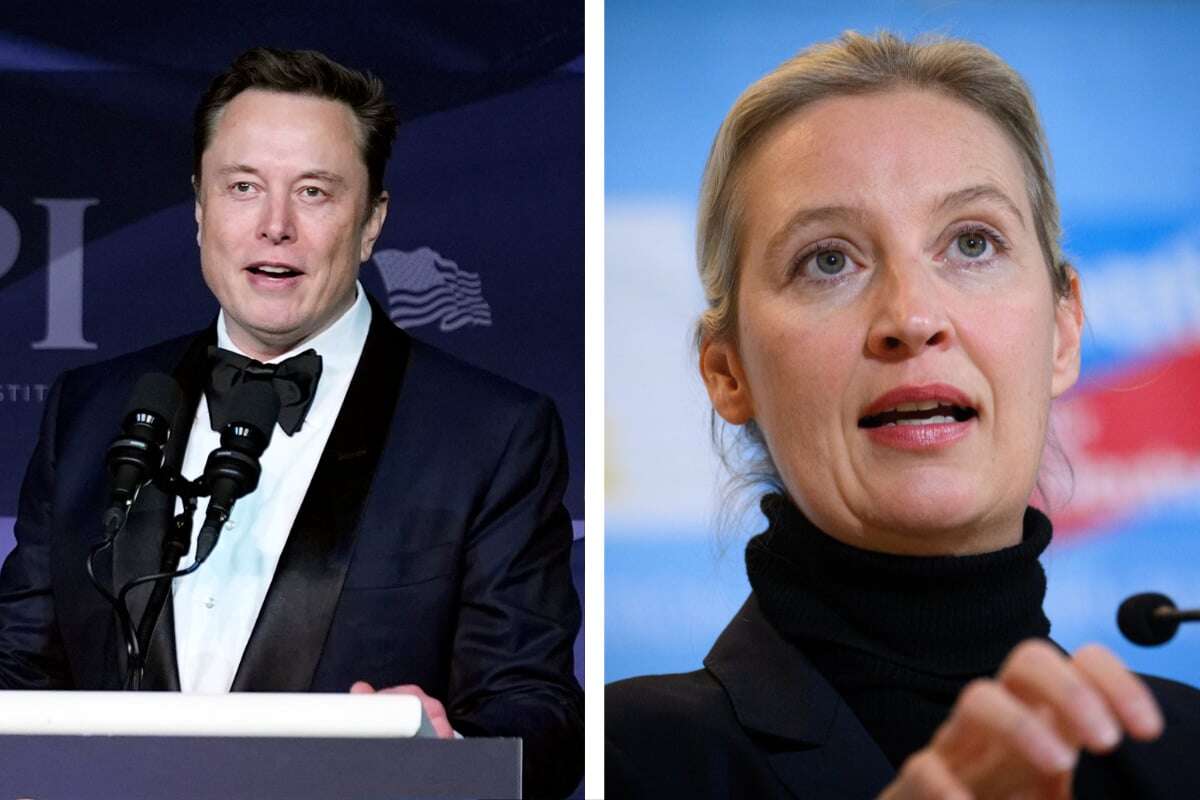 Elon Musk plant Livestream mit Alice Weidel: EU-Kommission unter großem Druck