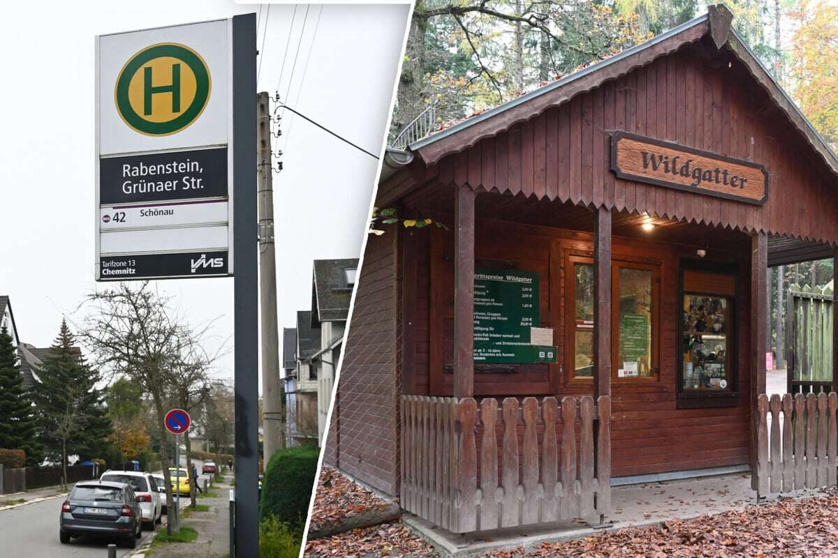 Wegen fehlender Parkplätze: ÖPNV-Anbindung fürs Wildgatter im Gespräch