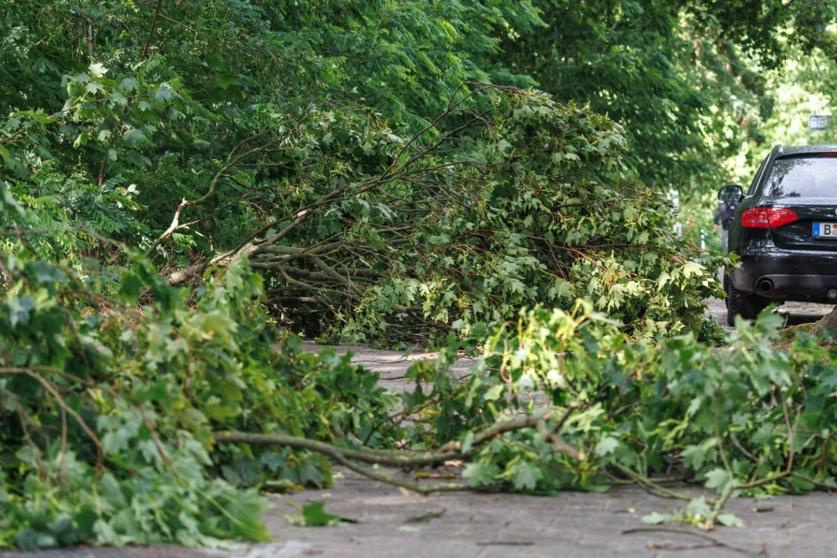 Nach tödlichem Sturm in Berlin: Bezirk gibt Warnung heraus