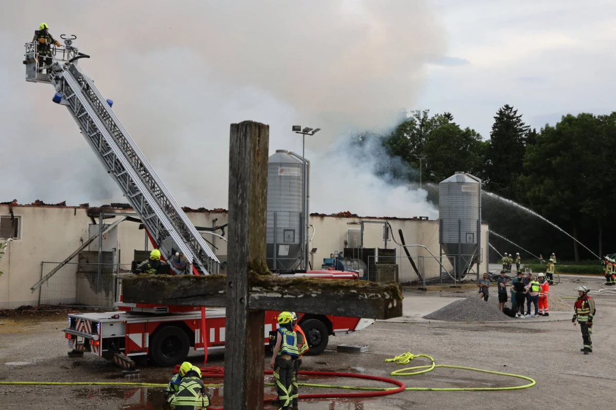 Schweine verenden im Feuer: Millionenschaden bei Stallbrand in Schwaben