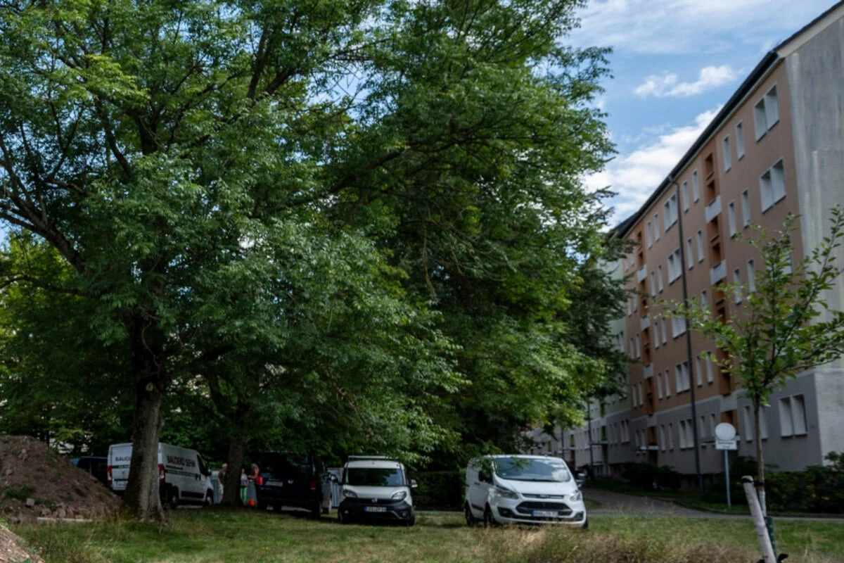 Parkplätze statt Bäume: Grüne und Anwohner in Chemnitz auf der Palme