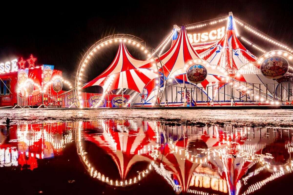 Von Show über Dinner bis zur wilden Party: Das ist Silvester in Magdeburg los