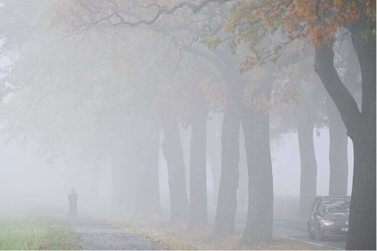 Nebel und Kälte: Das Wetter in Berlin und Brandenburg bleibt ungemütlich!