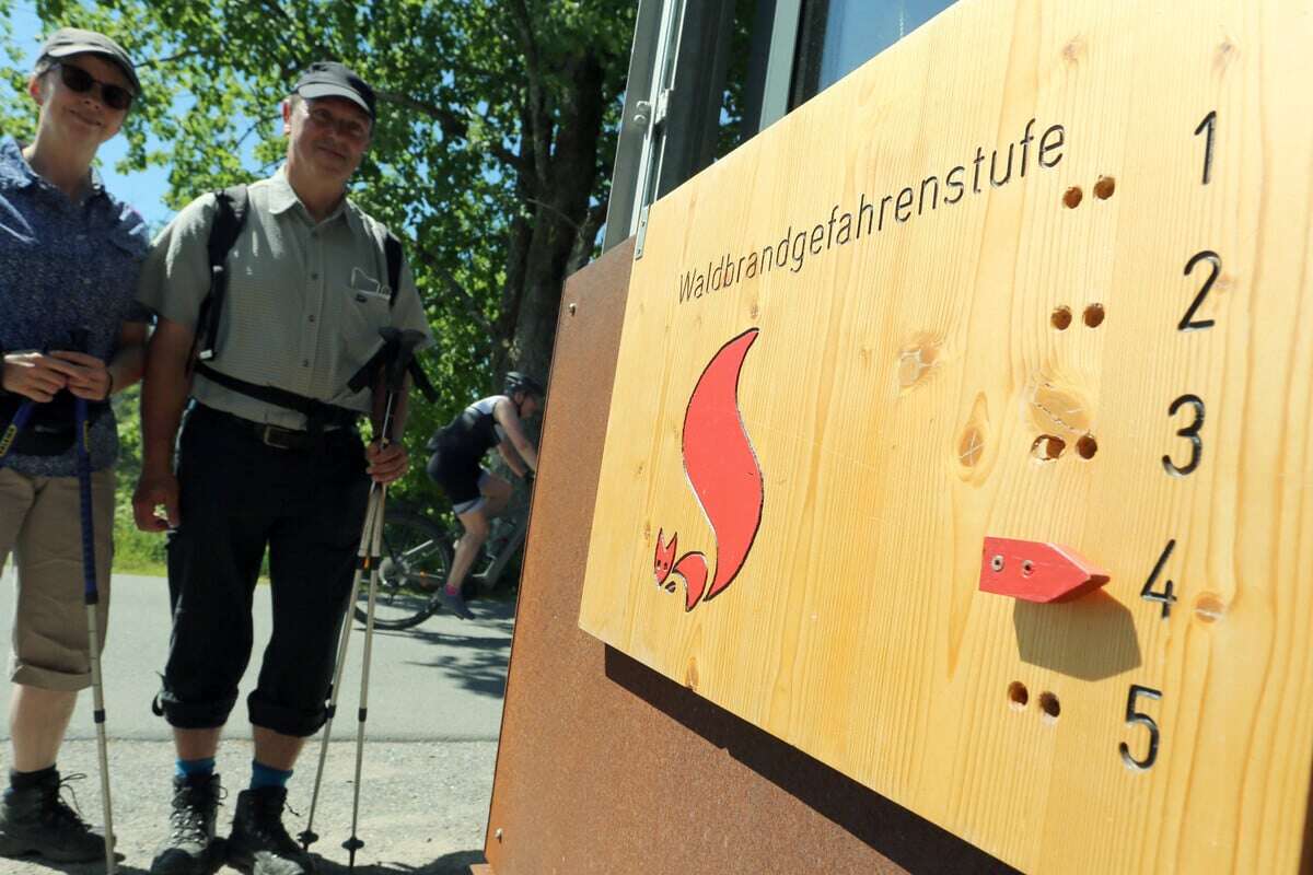 Schon früh im Jahr: Waldbrandgefahr in Sachsen-Anhalt stark erhöht