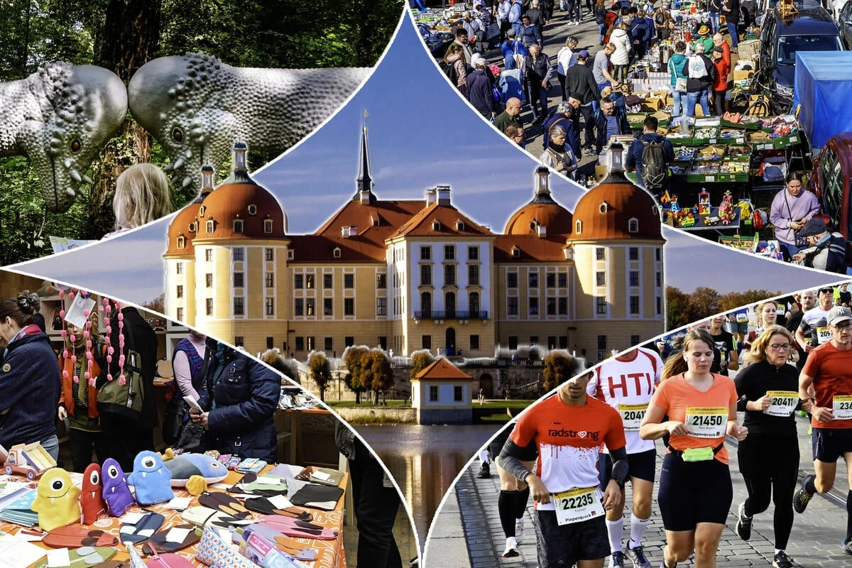 Keine Idee, was Du am Sonntag machen sollst? Hier sind acht Tipps für Dresden und Umgebung