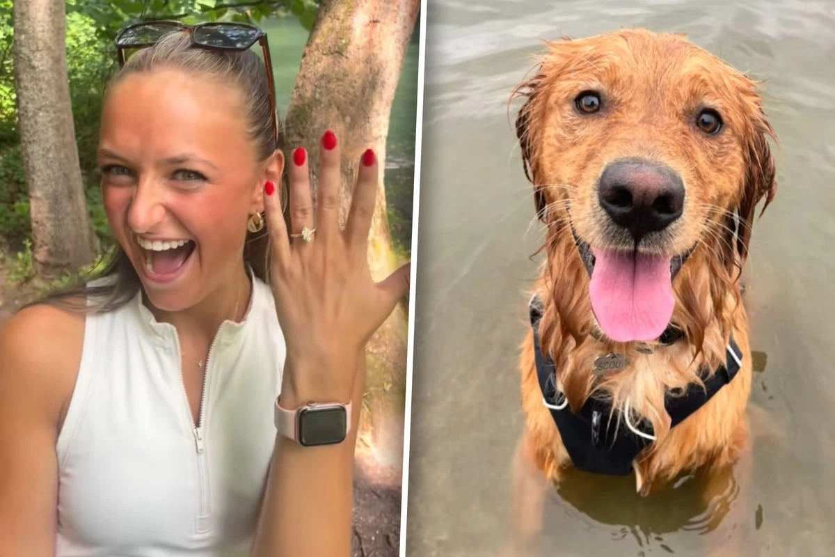 Frau feiert Verlobung: Doch sie ahnt nicht, was ihrem Golden Retriever hinter ihr zustößt